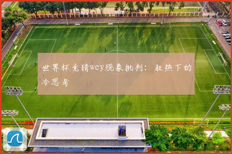 世界杯竞猜wey现象批判:狂热下的冷思考