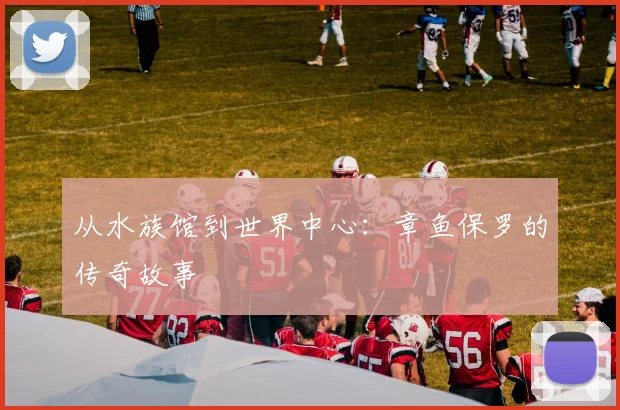 从水族馆到世界中心：章鱼保罗的传奇故事