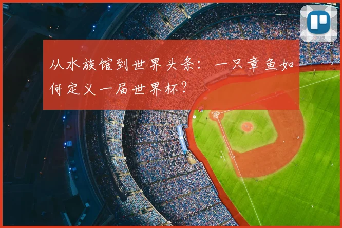 从水族馆到世界头条：一只章鱼如何定义一届世界杯？
