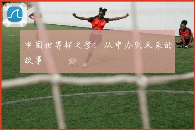 中国世界杯之梦：从申办到未来的故事