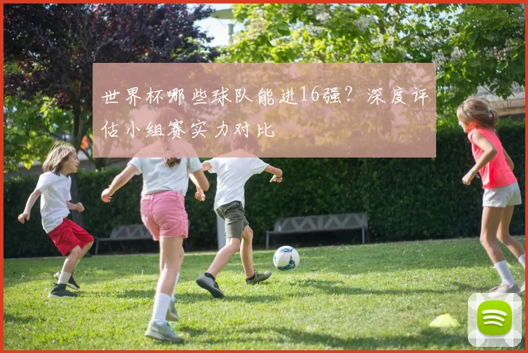 世界杯哪些球队能进16强?深度评估小组赛实力对比