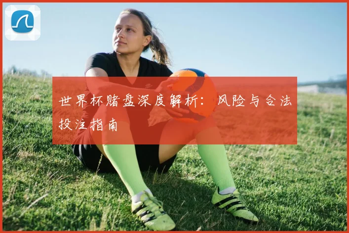 世界杯赌盘深度解析:风险与合法投注指南