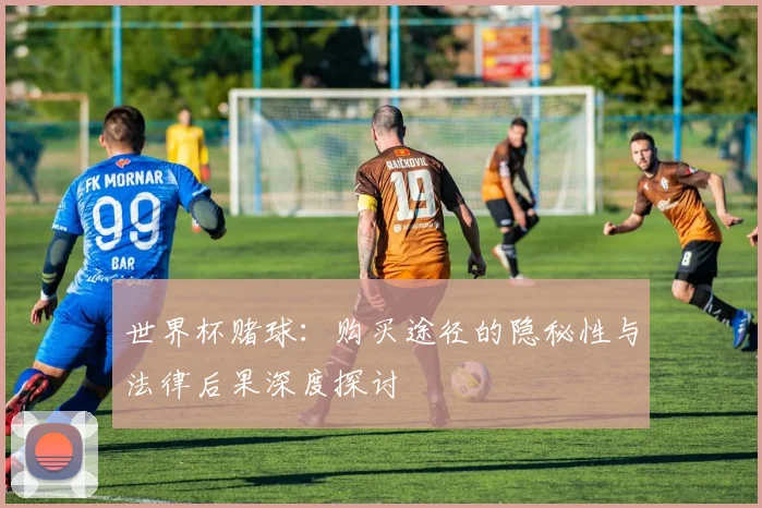 世界杯赌球:购买途径的隐秘性与法律后果深度探讨